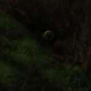 ヒメ日記 2025/11/28 23:00 投稿 冬乃かおり すべりん棒シャンプー娘。（横浜ハレ系）