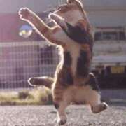 冬乃かおり ♪(*‘ω‘ ≡ ‘ω‘*)♪ すべりん棒シャンプー娘。（横浜ハレ系）