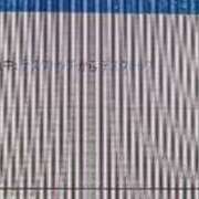 冬乃かおり ほぉ すべりん棒シャンプー娘。（横浜ハレ系）