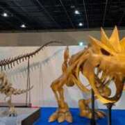 ヒメ日記 2025/12/09 13:29 投稿 冬乃かおり すべりん棒シャンプー娘。（横浜ハレ系）