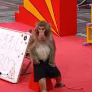 ヒメ日記 2025/12/14 12:01 投稿 冬乃かおり すべりん棒シャンプー娘。（横浜ハレ系）