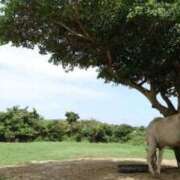 ヒメ日記 2026/01/01 21:56 投稿 冬乃かおり すべりん棒シャンプー娘。（横浜ハレ系）