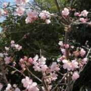 ヒメ日記 2026/01/11 13:15 投稿 冬乃かおり すべりん棒シャンプー娘。（横浜ハレ系）