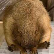 ヒメ日記 2026/01/16 16:11 投稿 冬乃かおり すべりん棒シャンプー娘。（横浜ハレ系）