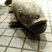 ヒメ日記 2026/01/20 21:58 投稿 冬乃かおり すべりん棒シャンプー娘。（横浜ハレ系）