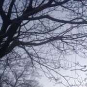 ヒメ日記 2026/01/31 06:37 投稿 冬乃かおり すべりん棒シャンプー娘。（横浜ハレ系）