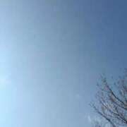 ヒメ日記 2026/02/18 14:27 投稿 冬乃かおり すべりん棒シャンプー娘。（横浜ハレ系）