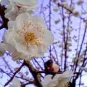 ヒメ日記 2026/02/21 07:32 投稿 冬乃かおり すべりん棒シャンプー娘。（横浜ハレ系）