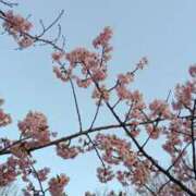 冬乃かおり 🌸 すべりん棒シャンプー娘。（横浜ハレ系）