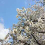 ヒメ日記 2026/03/29 09:00 投稿 冬乃かおり すべりん棒シャンプー娘。（横浜ハレ系）