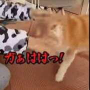 ヒメ日記 2026/07/07 12:02 投稿 冬乃かおり すべりん棒シャンプー娘。（横浜ハレ系）
