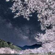 ヒメ日記 2025/04/08 10:12 投稿 春野さくら すべりん棒シャンプー娘。（横浜ハレ系）