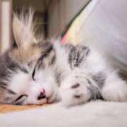 ヒメ日記 2025/04/20 18:01 投稿 春野さくら すべりん棒シャンプー娘。（横浜ハレ系）