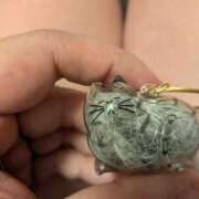 ヒメ日記 2025/07/05 07:45 投稿 奥菜　めぐ すべりん棒シャンプー娘。（横浜ハレ系）