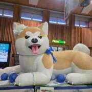 ヒメ日記 2026/01/18 11:34 投稿 白梅かなみ すべりん棒シャンプー娘。（横浜ハレ系）