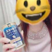 ヒメ日記 2025/01/18 09:42 投稿 ましろ 熟女家 堺東店