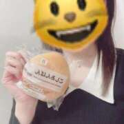 ヒメ日記 2025/02/12 09:38 投稿 ましろ 熟女家 堺東店