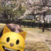 ヒメ日記 2025/04/05 11:22 投稿 ましろ 熟女家 堺東店