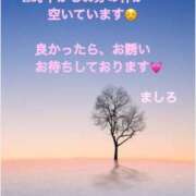 ヒメ日記 2025/06/10 22:08 投稿 ましろ 熟女家 堺東店