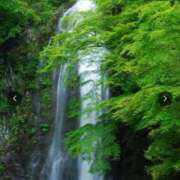 ヒメ日記 2025/09/23 08:52 投稿 ましろ 熟女家 堺東店