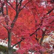 ましろ おはようございます😺 熟女家 堺東店