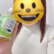 ましろ おはようございます😺 熟女家 堺東店