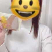 ましろ おはようございます😺 熟女家 堺東店