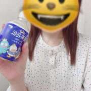 ましろ おはようございます😺 熟女家 堺東店