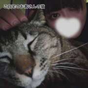 ヒメ日記 2025/06/21 18:50 投稿 あみ 南大阪回春性感エステオールスターズ