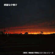 あみ 生存しております 南大阪回春性感エステオールスターズ