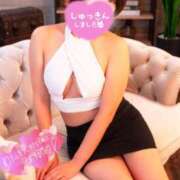 ヒメ日記 2025/01/04 09:19 投稿 ことり スチュワーデス