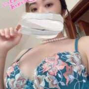 ヒメ日記 2025/03/14 07:30 投稿 ことり スチュワーデス