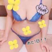 ヒメ日記 2025/04/30 16:07 投稿 ことり スチュワーデス