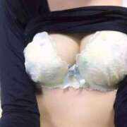 ヒメ日記 2025/05/17 19:18 投稿 ことり スチュワーデス