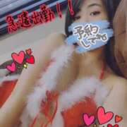 ヒメ日記 2025/06/26 06:51 投稿 ことり スチュワーデス