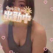 ヒメ日記 2025/07/03 08:56 投稿 ことり スチュワーデス