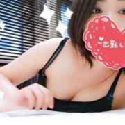 ヒメ日記 2025/07/09 14:09 投稿 ことり スチュワーデス