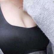 ヒメ日記 2025/10/14 08:53 投稿 ことり スチュワーデス