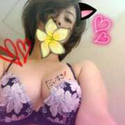 ヒメ日記 2025/10/22 09:25 投稿 ことり スチュワーデス