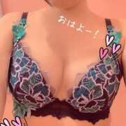 ヒメ日記 2025/11/09 09:02 投稿 ことり スチュワーデス