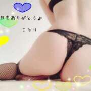 ヒメ日記 2025/11/21 23:46 投稿 ことり スチュワーデス