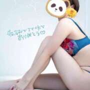 ヒメ日記 2026/01/29 09:34 投稿 ことり スチュワーデス