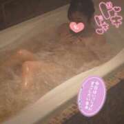 ヒメ日記 2026/02/02 07:28 投稿 ことり スチュワーデス