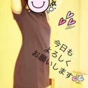 ヒメ日記 2026/05/16 08:18 投稿 ことり スチュワーデス