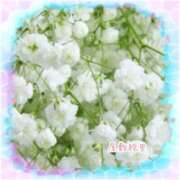 ヒメ日記 2025/12/30 08:24 投稿 屋敷絵里 五十路マダム金沢店