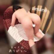 ヒメ日記 2025/01/26 12:20 投稿 篠田あまね 五十路マダム静岡店（カサブランカG）