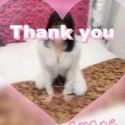 ヒメ日記 2025/11/09 23:30 投稿 篠田あまね 五十路マダム静岡店（カサブランカG）