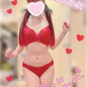 ヒメ日記 2025/03/30 07:45 投稿 ひかさ ていくぷらいど.学園