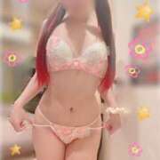 ヒメ日記 2025/06/06 08:30 投稿 ひかさ ていくぷらいど.学園