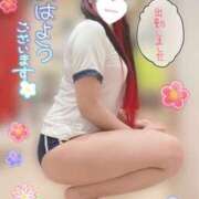 ヒメ日記 2026/08/24 09:15 投稿 ひかさ ていくぷらいど.学園